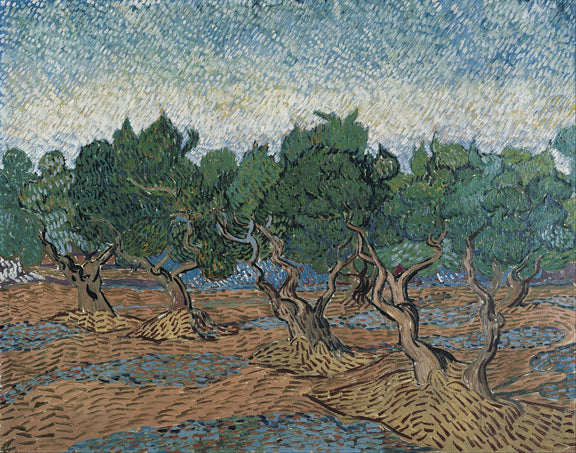 Olive grove (November 1889 - December 1889) - Oil Painting Haven Oil Painting Haven