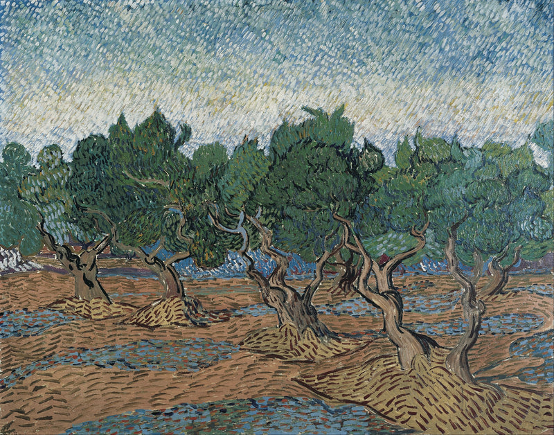 Olive grove (November 1889 - December 1889) - Oil Painting Haven Oil Painting Haven