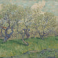 Orchard in Blossom - Oil Painting Haven