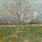 Orchard in Blossom2 - Oil Painting Haven