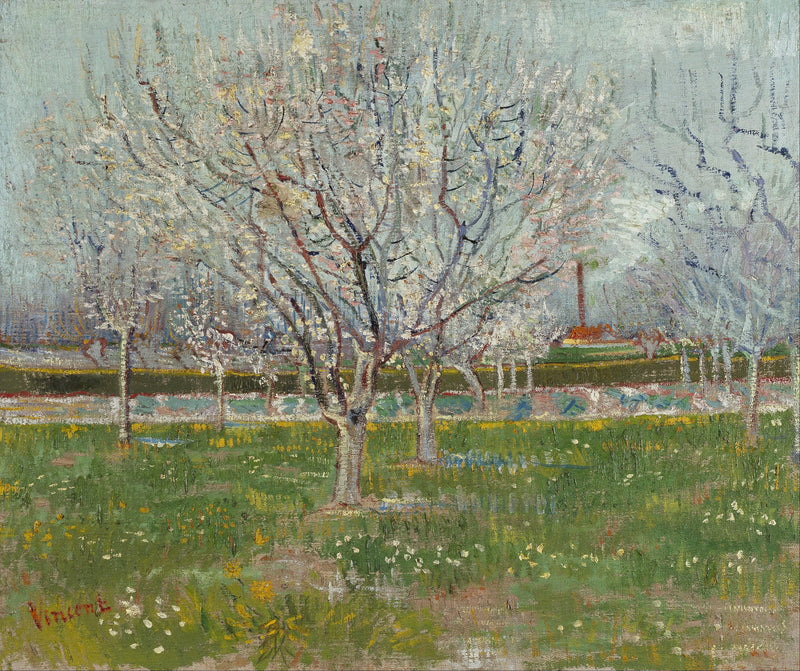 Orchard in Blossom2 - Oil Painting Haven Oil Painting Haven