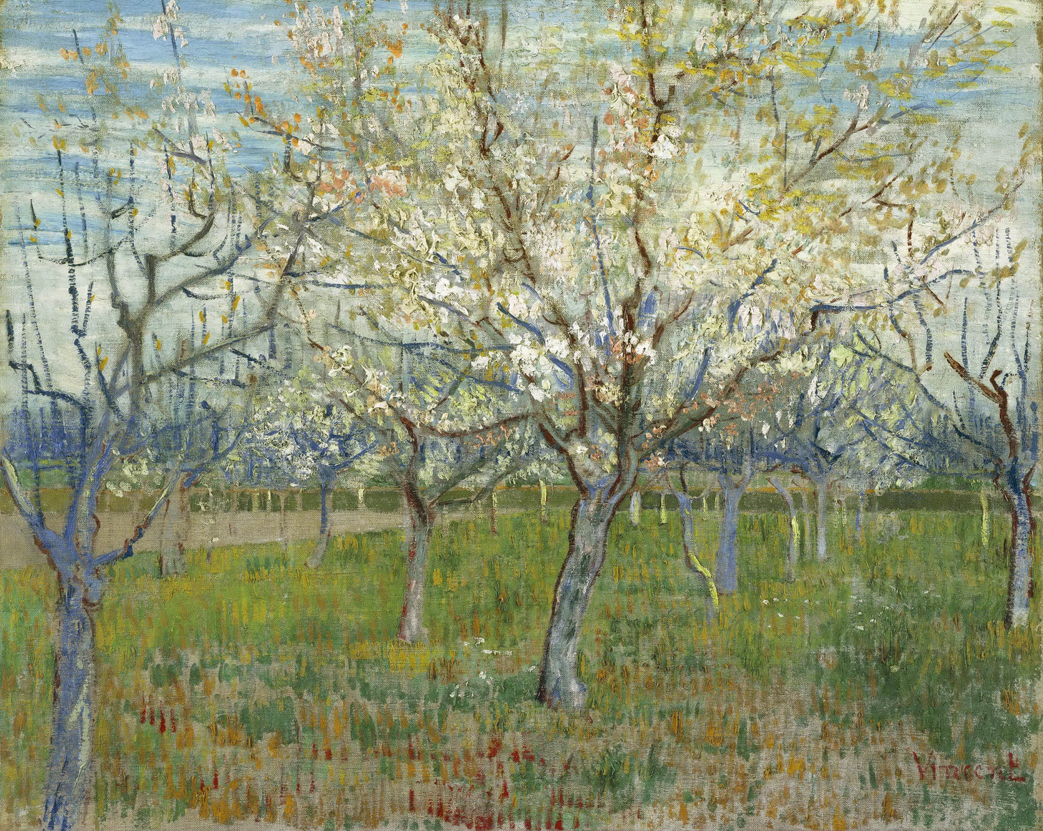 Orchard with Blossoming Apricot Trees - Oil Painting Haven