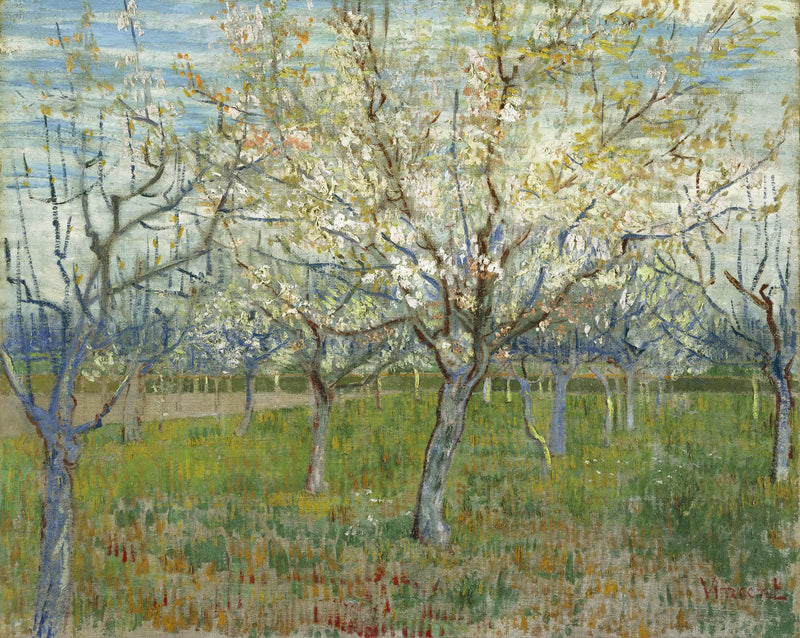 Orchard with Blossoming Apricot Trees - Oil Painting Haven Oil Painting Haven