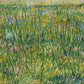 Pasture in Bloom - Oil Painting Haven