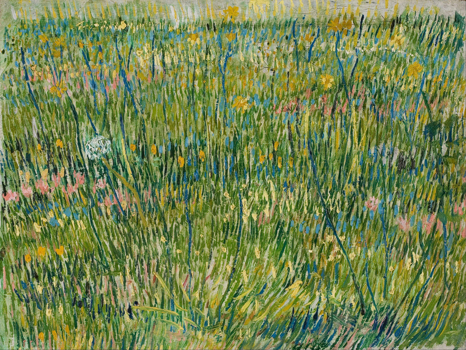 Pasture in Bloom - Oil Painting Haven