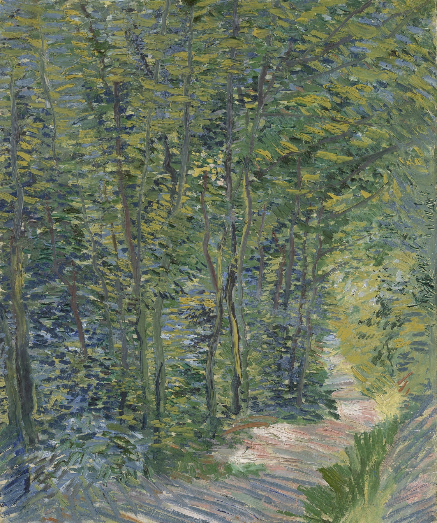 Path in the Woods - Oil Painting Haven