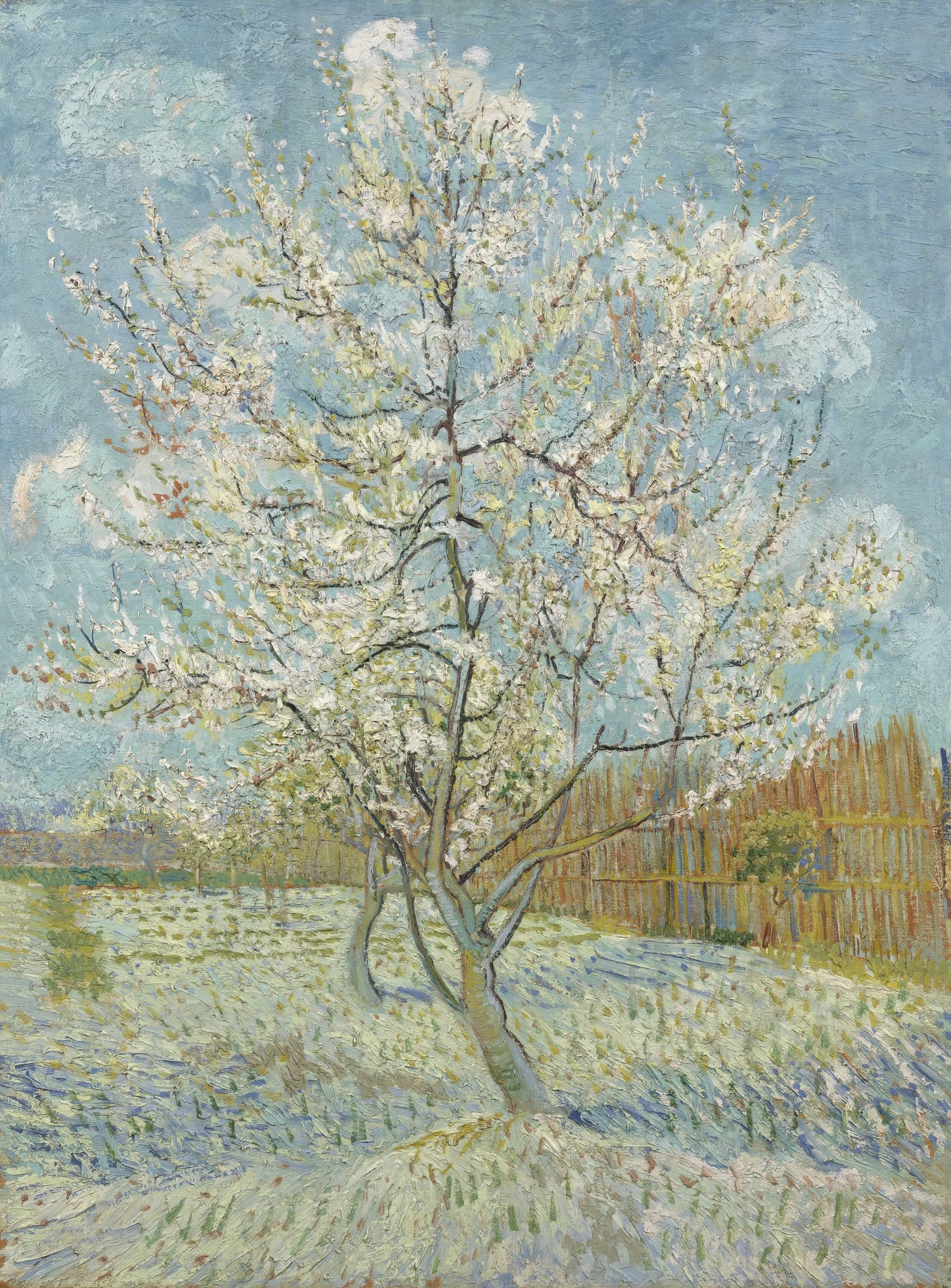 Peach Tree in Blossom - Oil Painting Haven