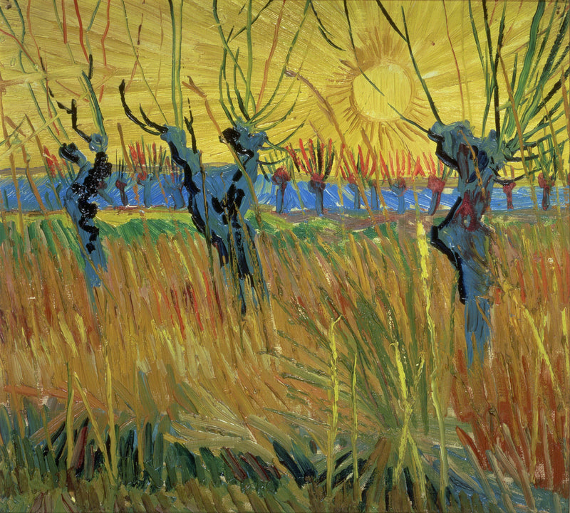 Pollard Willows With Setting Sun - Oil Painting Haven Oil Painting Haven