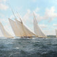 Sailing Competition - Oil Painting Haven