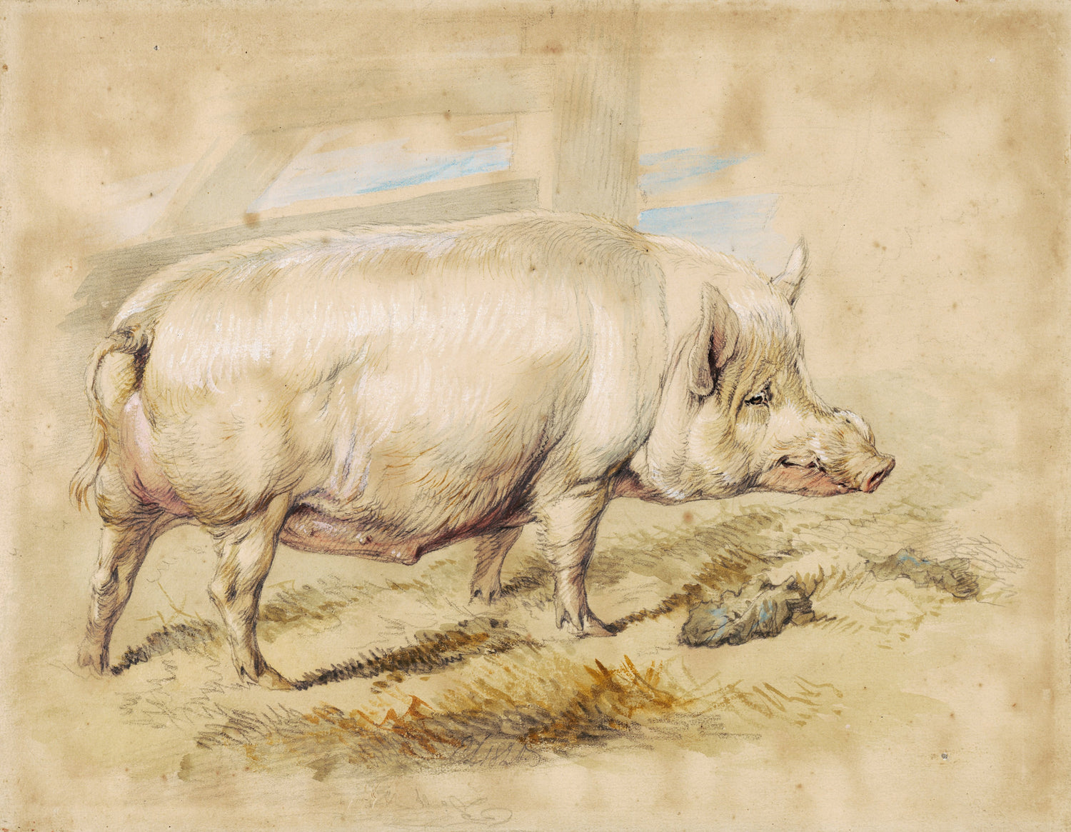 Sir Edwin Landseer - A Sow, 1820 - Oil Painting Haven