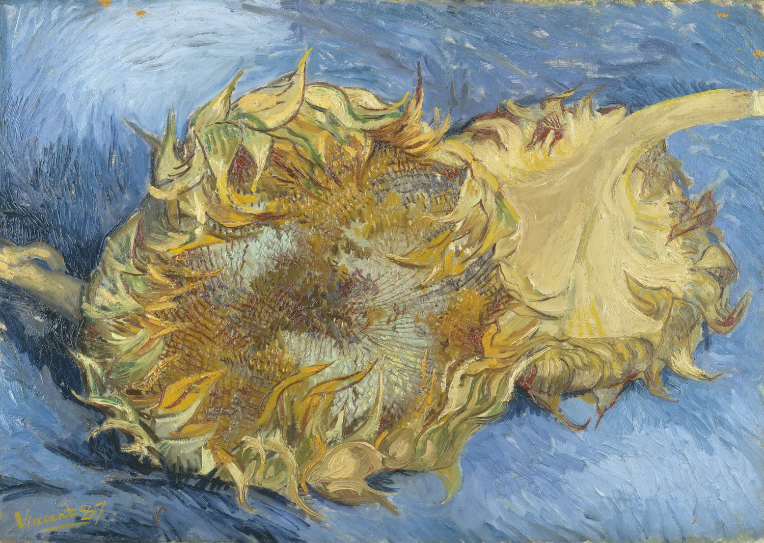 Sunflowers3 - Oil Painting Haven