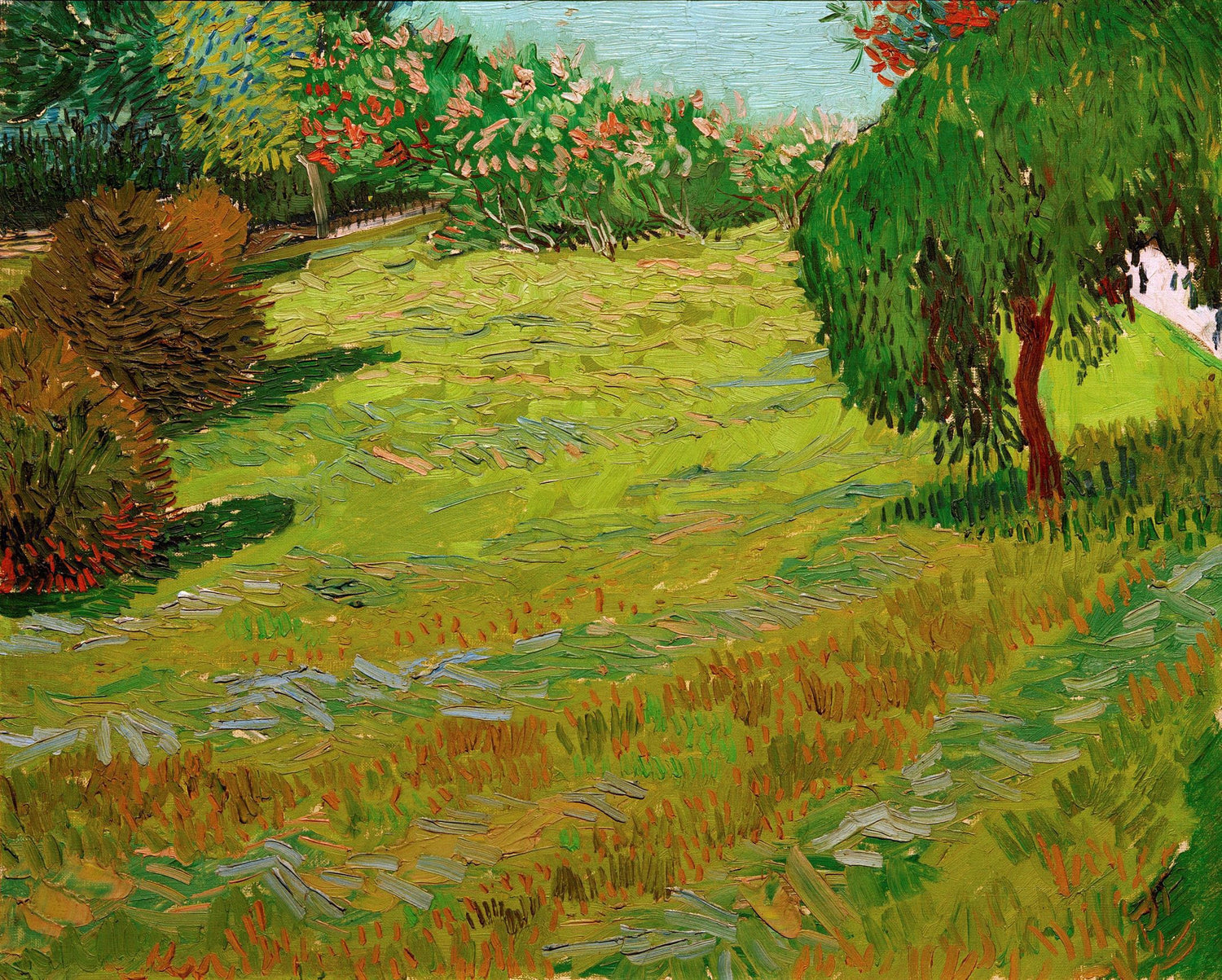 Sunny Lawn in a Public Park - Oil Painting Haven