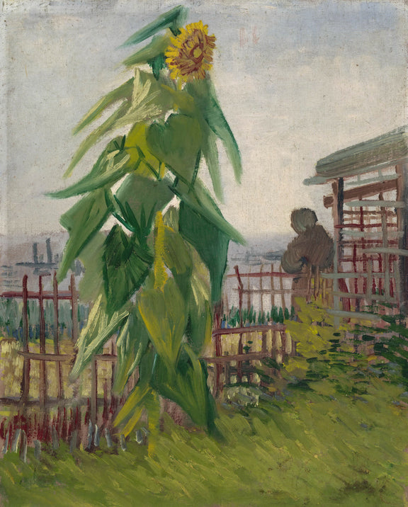 The Garden with Sunflower - Oil Painting Haven Oil Painting Haven