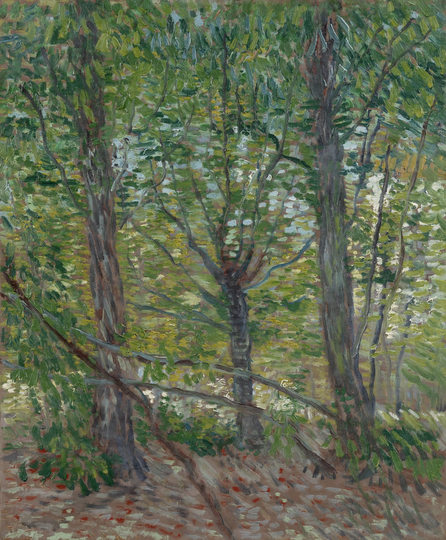 Trees - Oil Painting Haven