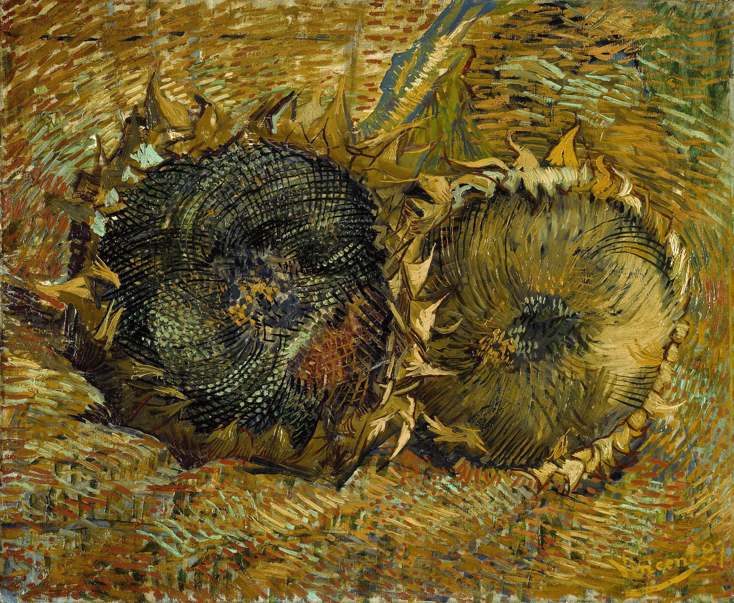 Two Cut Sunflowers - Oil Painting Haven