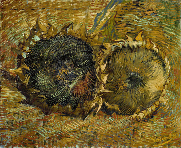 Two Cut Sunflowers - Oil Painting Haven Oil Painting Haven