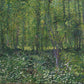 Undergrowth2 - Oil Painting Haven