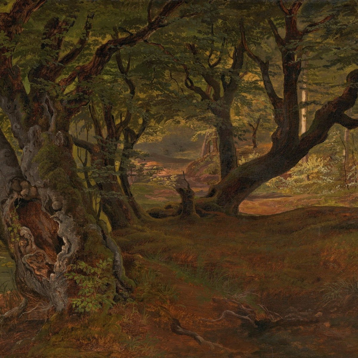 Landscape oil painting of an ancient forest with twisted trees and sunlight filtering through dense foliage, textured. - Add Frame, Canvas, Forest, Hand Painted, Landscape, Made To Order, Oil Painting