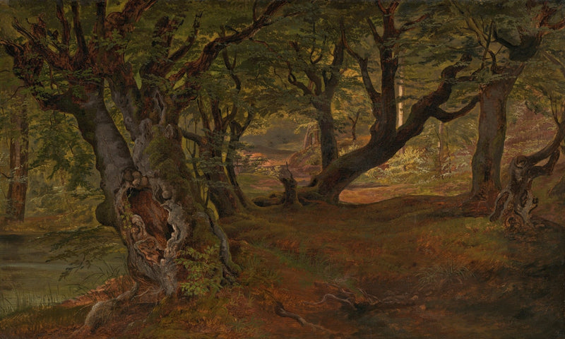 Landscape oil painting of an ancient forest with twisted trees and sunlight filtering through dense foliage, textured. - Add Frame, Canvas, Forest, Hand Painted, Landscape, Made To Order, Oil Painting