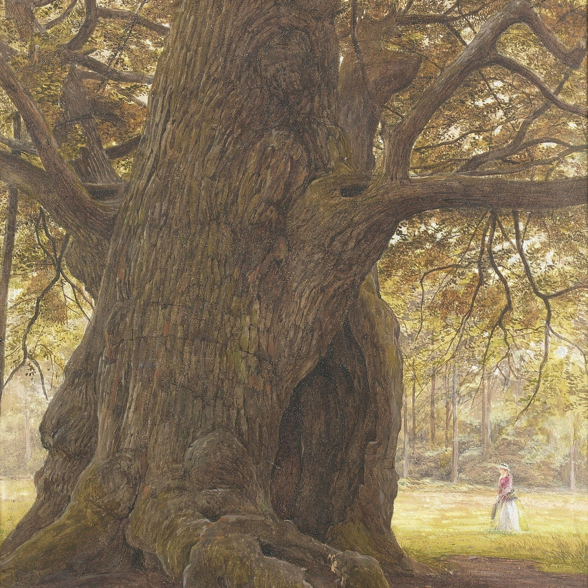 Ancient Oak Tree in a Forest Clearing – Landscape Oil Painting - Oil Painting Haven