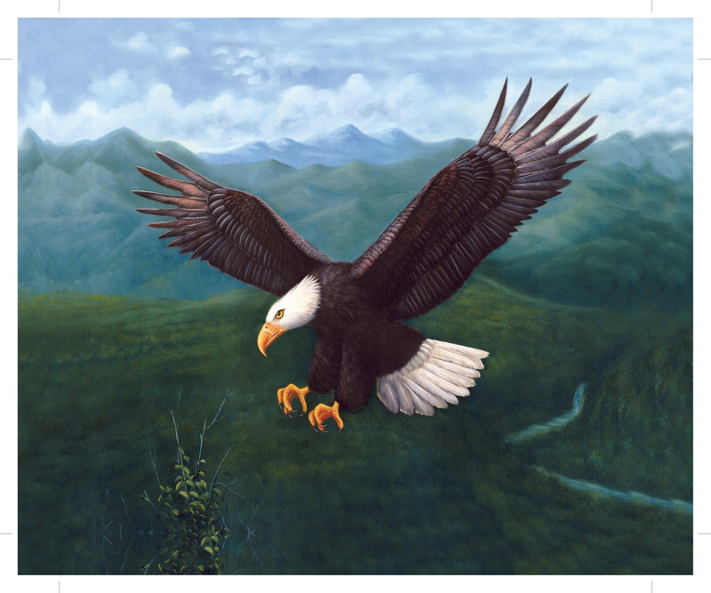 Animals Oil Painting - Bald Eagle Soaring over Mountain Valley - Oil Painting Haven