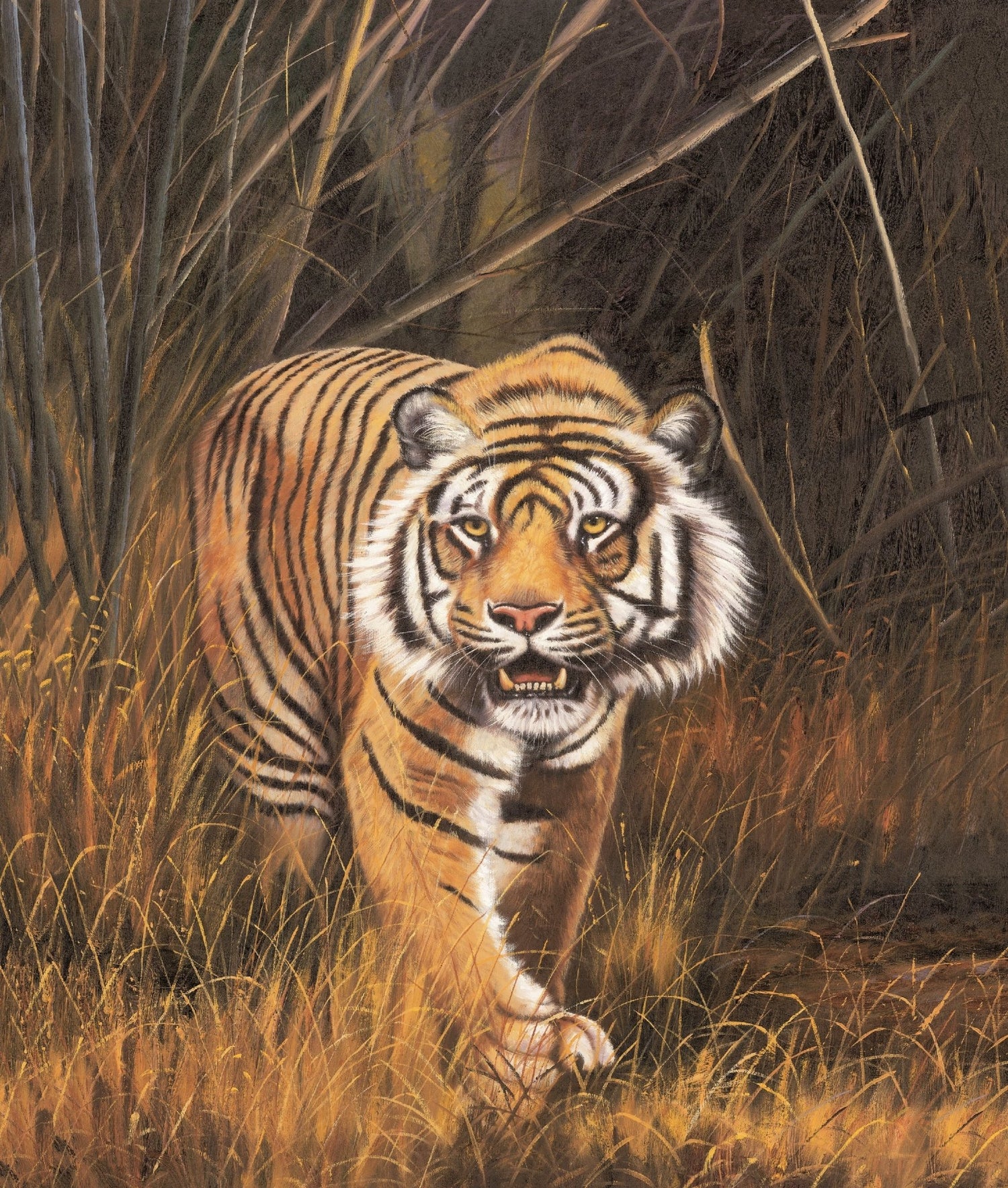 Animals Oil Painting - Bengal Tiger Walking Through Wild Grass - Oil Painting Haven