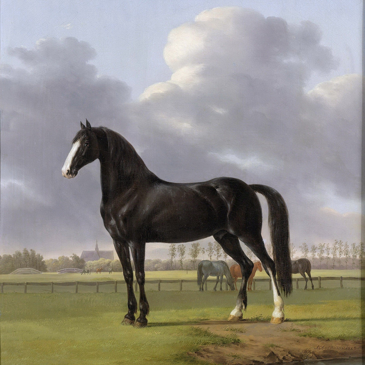 Animals Oil Painting - Black Horse in Pasture under Cloudy Sky - Oil Painting Haven
