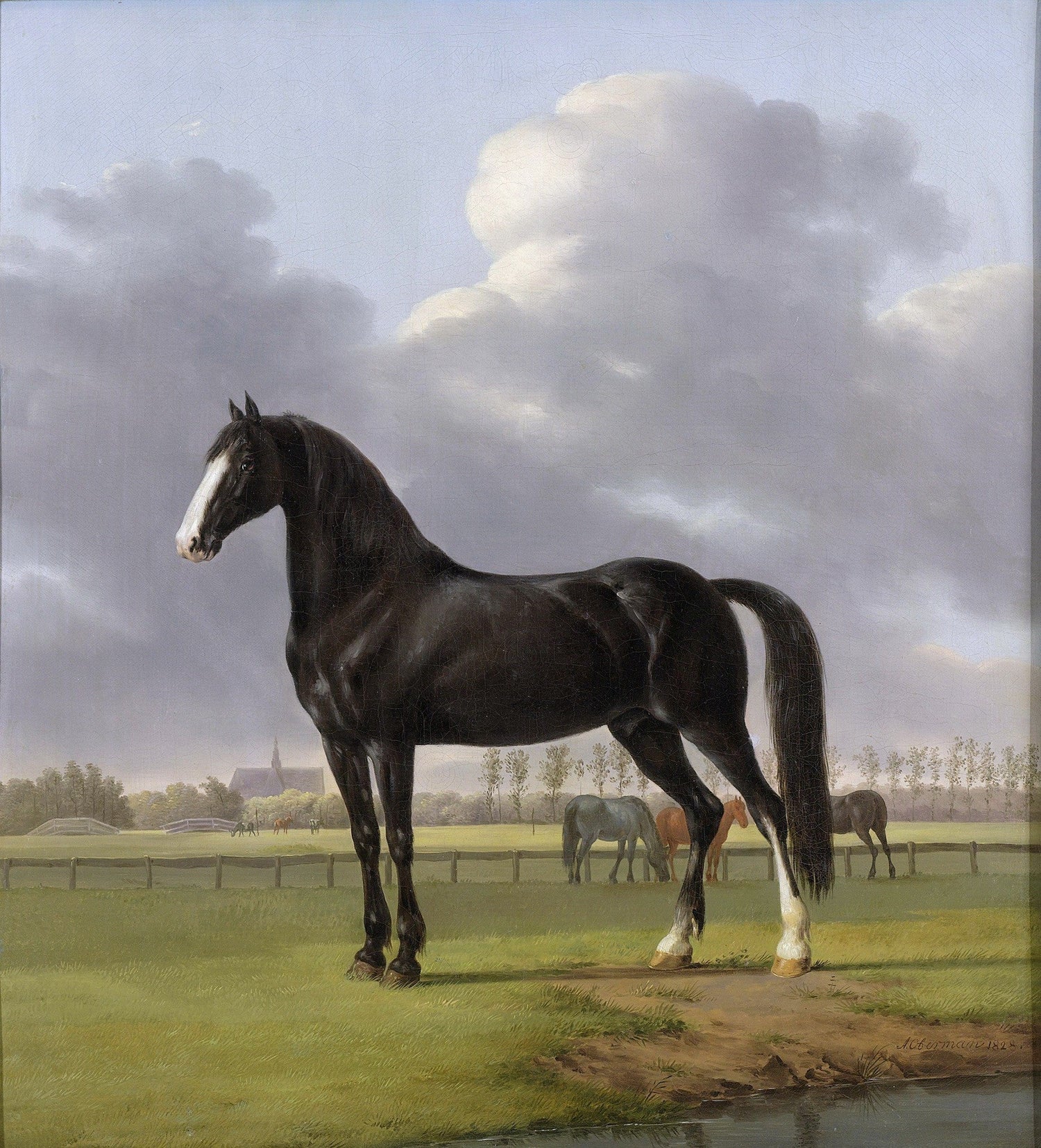 Animals Oil Painting - Black Horse in Pasture under Cloudy Sky - Oil Painting Haven