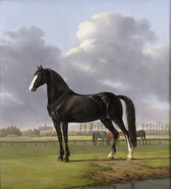 Animals Oil Painting - Black Horse in Pasture under Cloudy Sky - Oil Painting Haven