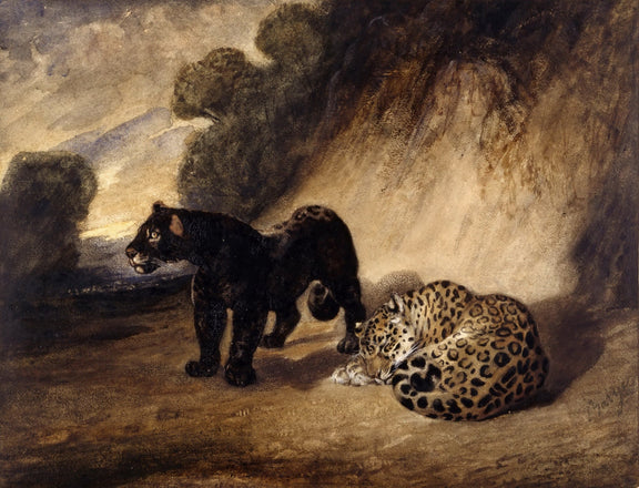 Animals Oil Painting - Black Panther and Leopard in Wilderness - Oil Painting Haven
