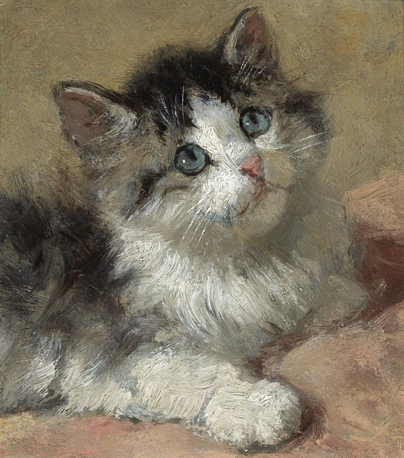 Animals Oil Painting - Blue - Eyed Gray and White Kitten Portrait - Oil Painting Haven