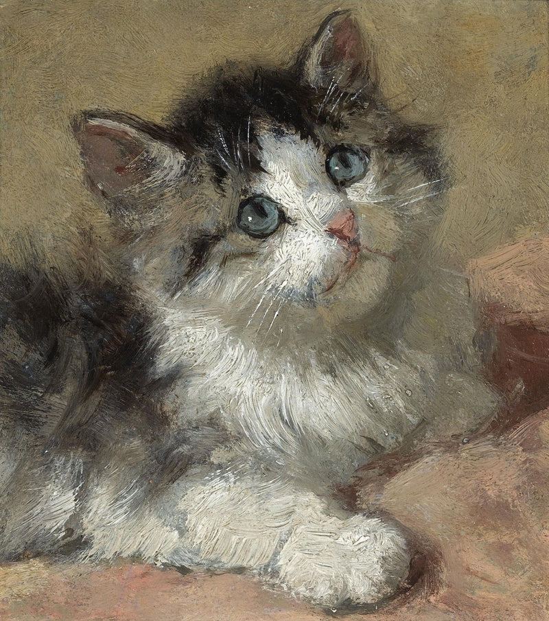 Animals Oil Painting - Blue - Eyed Gray and White Kitten Portrait - Oil Painting Haven