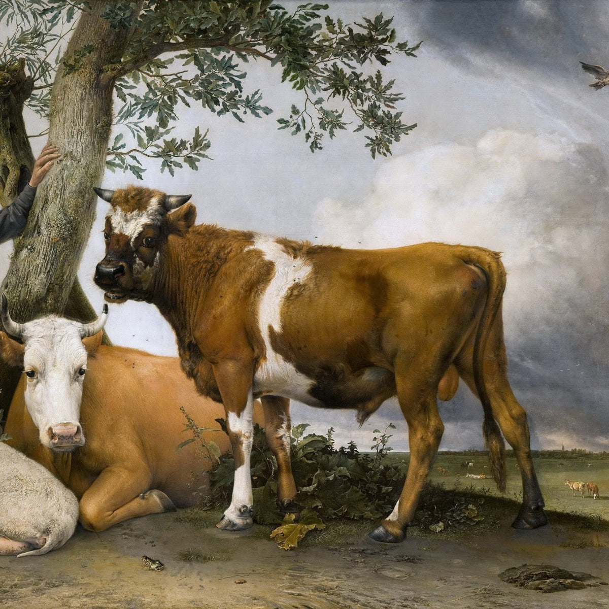 Animals Oil Painting - Bull, Cow and Sheep in Dutch Pasture Scene - Oil Painting Haven