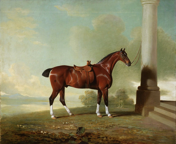 Animals Oil Painting - Chestnut Horse with Saddle by Column - Oil Painting Haven