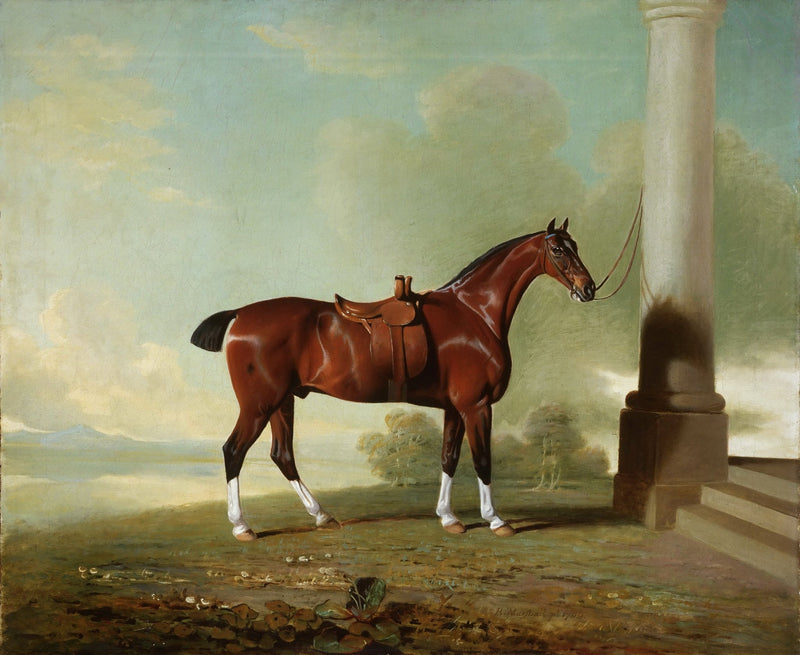 Animals Oil Painting - Chestnut Horse with Saddle by Column - Oil Painting Haven