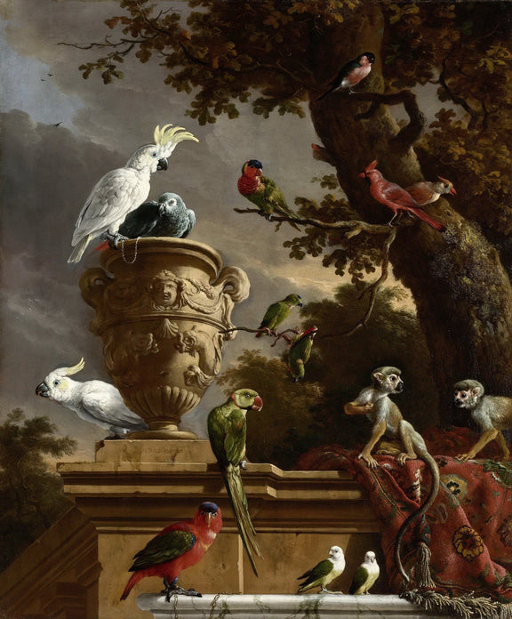 Animals Oil Painting - Cockatoos, Parrots and Monkeys in Garden - Oil Painting Haven