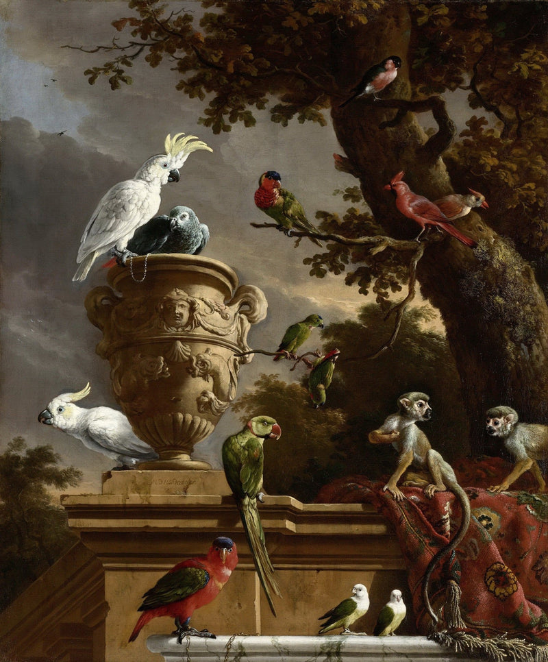 Animals Oil Painting - Cockatoos, Parrots and Monkeys in Garden - Oil Painting Haven