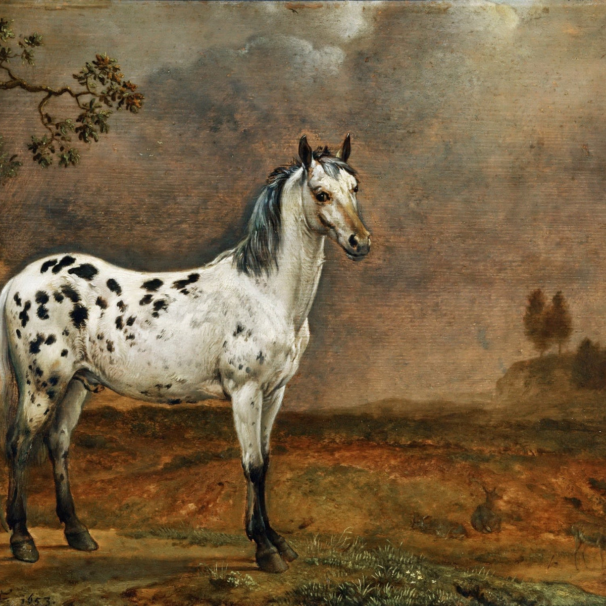 Animals Oil Painting - Dappled White Horse in Rustic Landscape - Oil Painting Haven