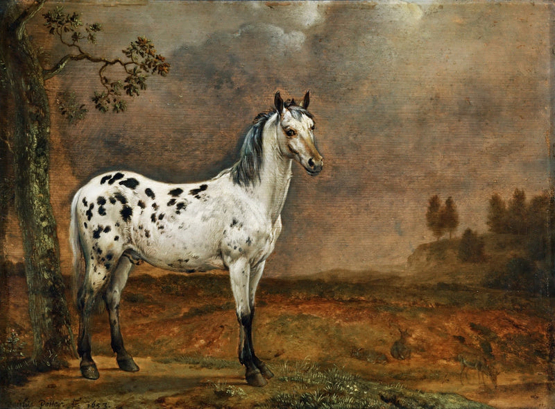 Animals Oil Painting - Dappled White Horse in Rustic Landscape - Oil Painting Haven