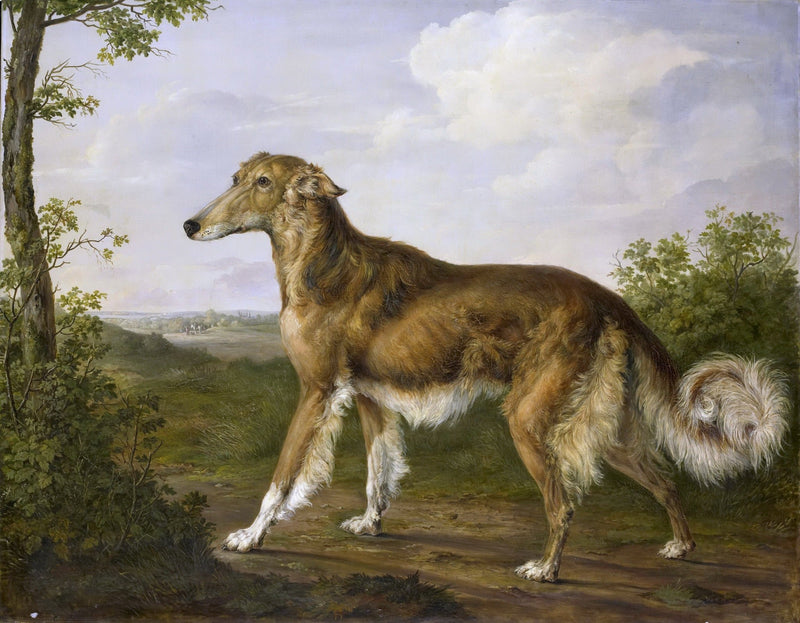 Animals Oil Painting - Elegant Borzoi Dog in Countryside Portrait - Oil Painting Haven
