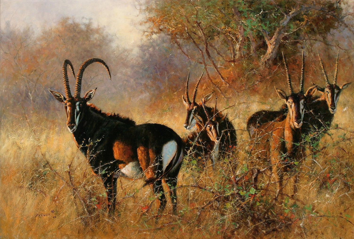 Animals Oil Painting - Hand - Painted Antelope Herd in Grass - Oil Painting Haven