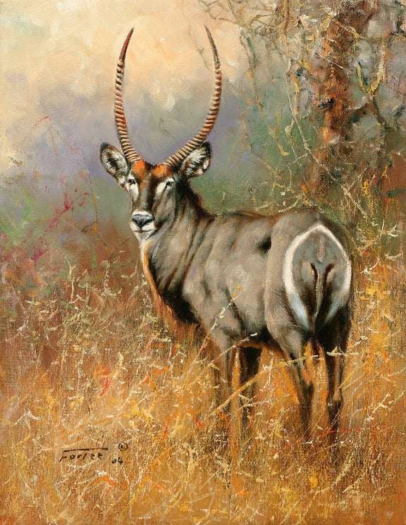 Animals Oil Painting - Hand - Painted Antelope Portrait Art - Oil Painting Haven