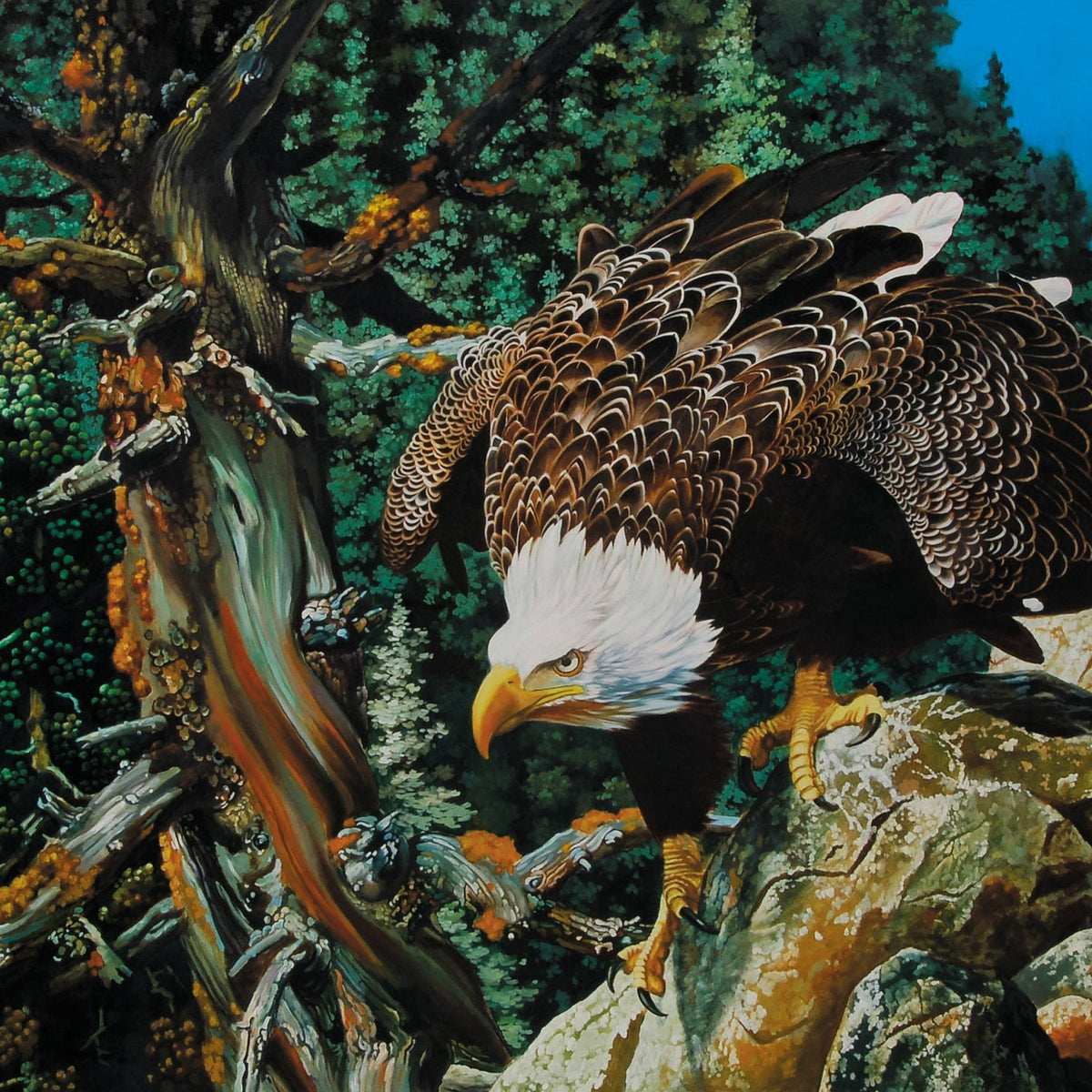 Animals Oil Painting - Hand - Painted Bald Eagle on Rock - Oil Painting Haven