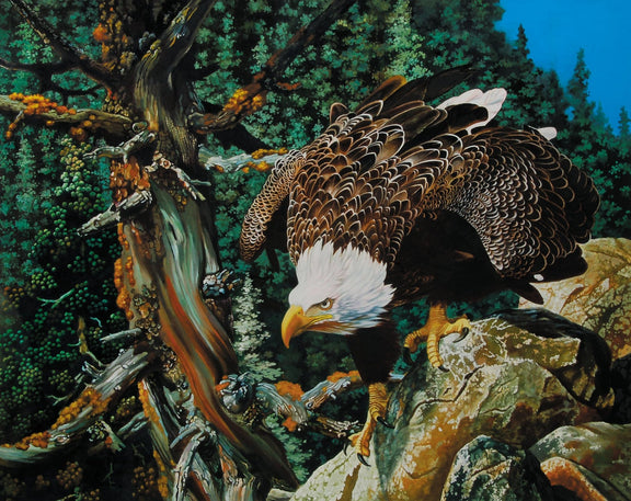 Animals Oil Painting - Hand - Painted Bald Eagle on Rock - Oil Painting Haven
