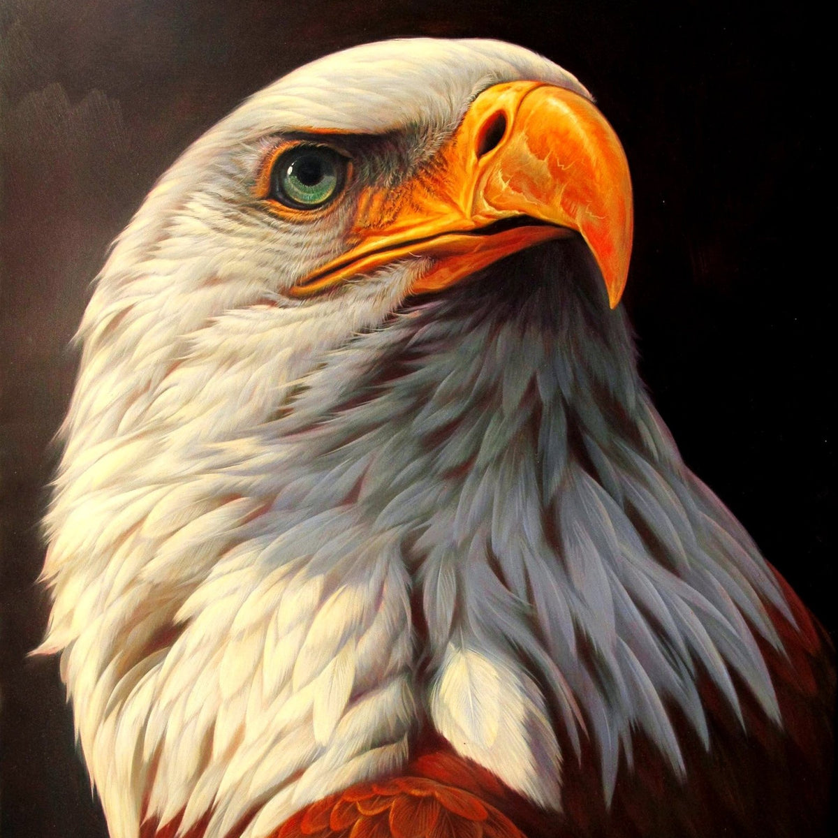 Animals Oil Painting - Hand - Painted Bald Eagle Portrait - Oil Painting Haven