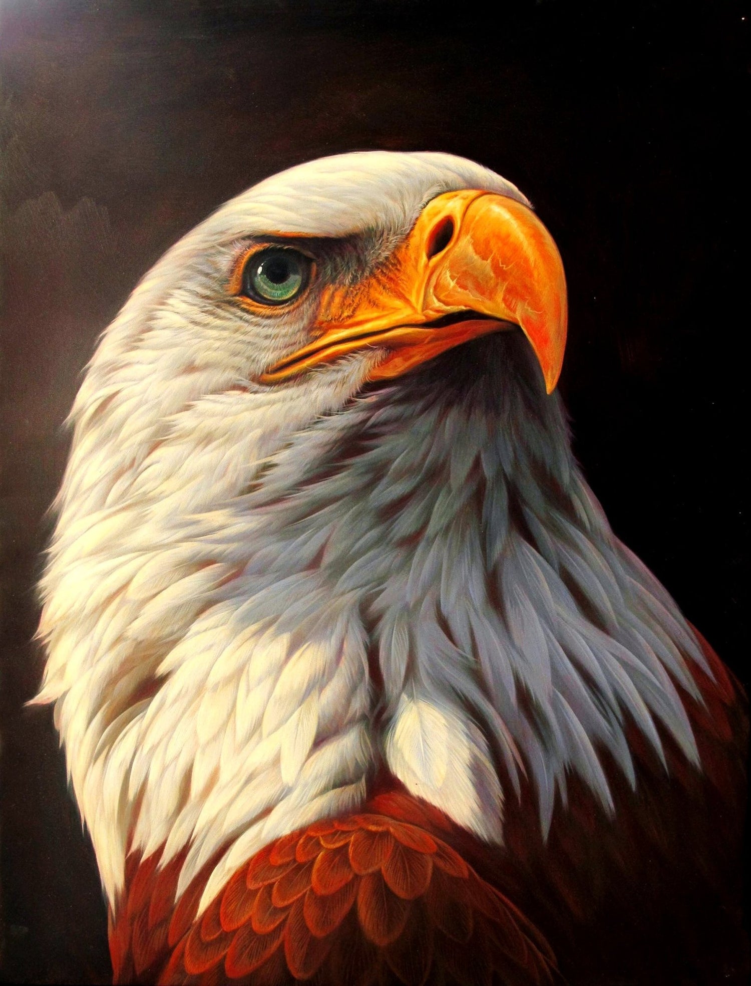 Animals Oil Painting - Hand - Painted Bald Eagle Portrait - Oil Painting Haven