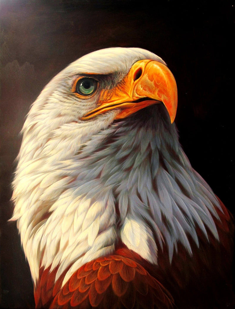 Animals Oil Painting - Hand - Painted Bald Eagle Portrait - Oil Painting Haven