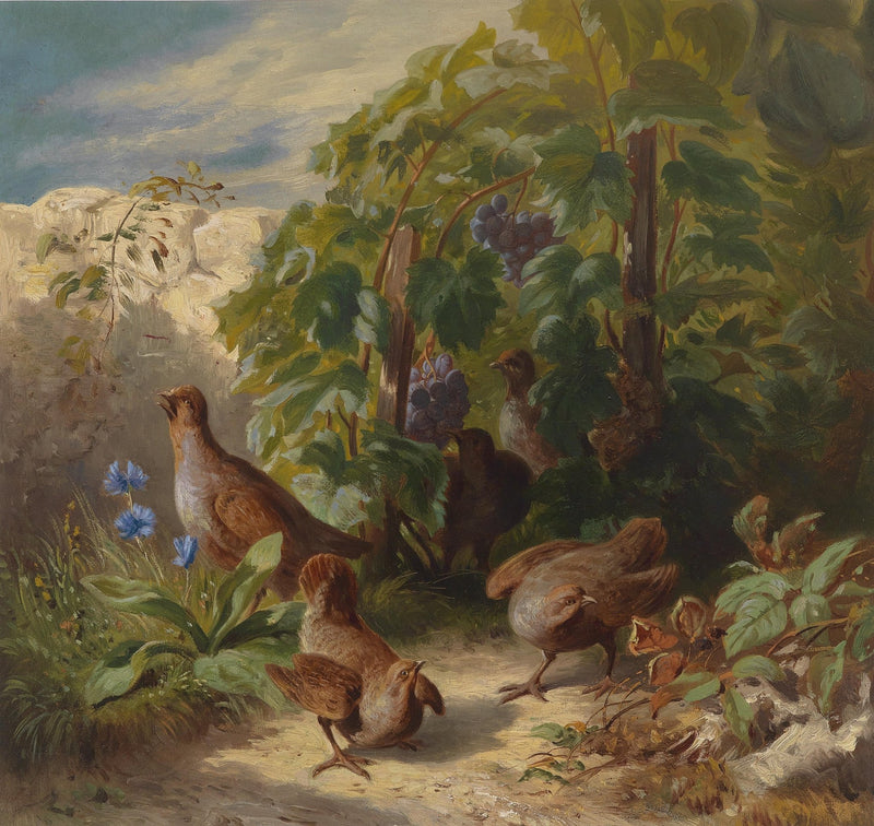 animals Oil Painting - Hand - Painted Birds in Garden Scene - Oil Painting Haven