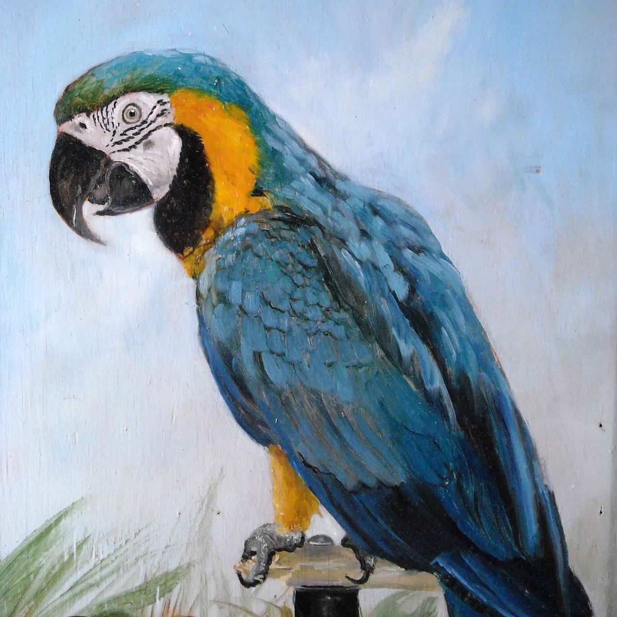 Animals Oil Painting - Hand - Painted Blue Parrot Portrait - Oil Painting Haven