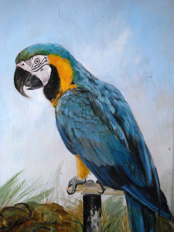Animals Oil Painting - Hand - Painted Blue Parrot Portrait - Oil Painting Haven